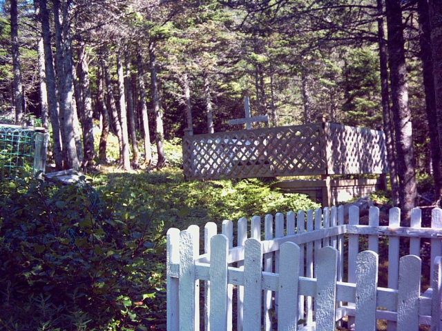 08 Clattice Harbour Graveyard April 2005. Credit: Loretta Ward